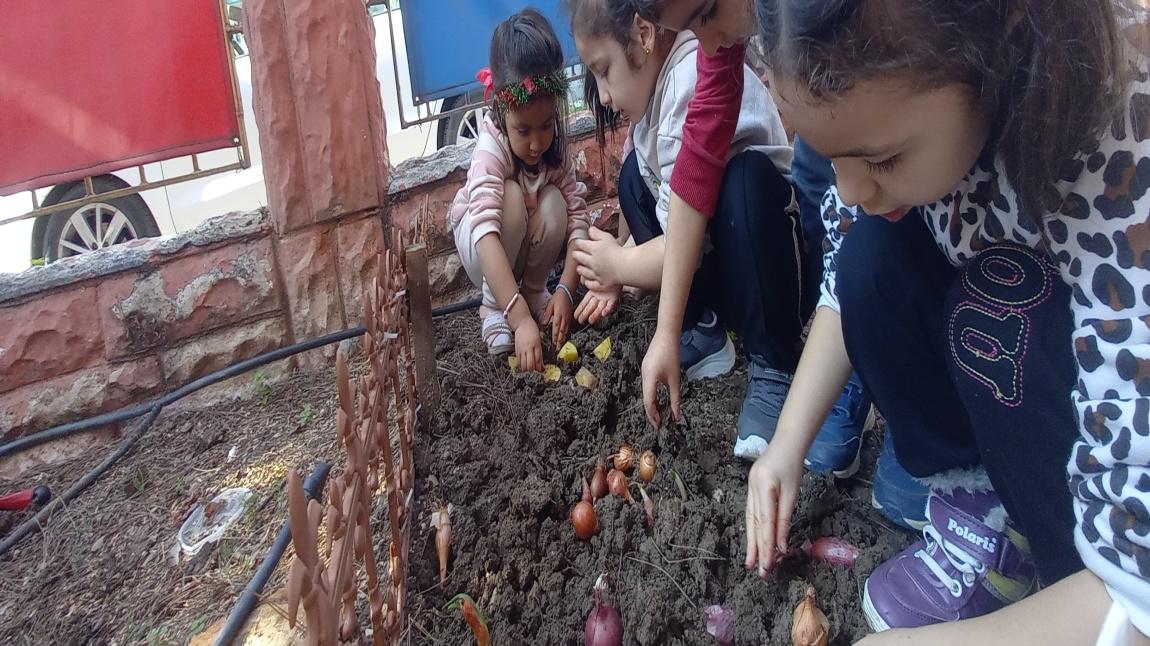 Öğrencilerimiz kendileri için oluşturulan bahçede dikim yaptılar
